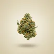 100+ Produkte auf Lager